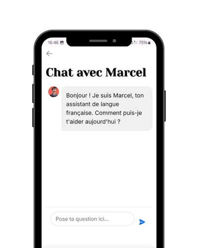 Chat avec Marcel